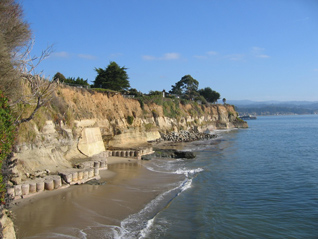 image of the Opal Cliffs in Santa Cruz